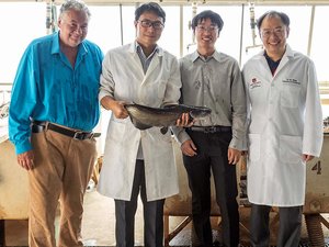 Auburn University researchers first to map blue catfish genome