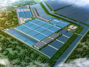 Haida Group breaks ground on new seedling park