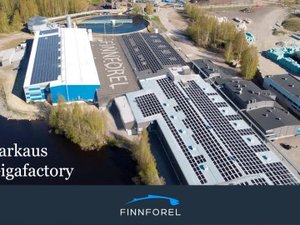 Finnforel to build first selective breeding center for rainbow trout in Finland