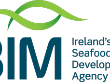 Apply for Irish Aquaculture Accelerator program