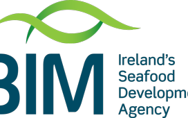 Apply for Irish Aquaculture Accelerator program