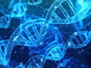 EU to discuss the application of new genomic techniques in animal farming