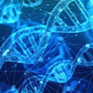 EU to discuss the application of new genomic techniques in animal farming