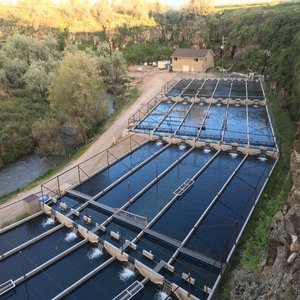 Troutlodge turns Rock Creek Hatchery into an R&D facility