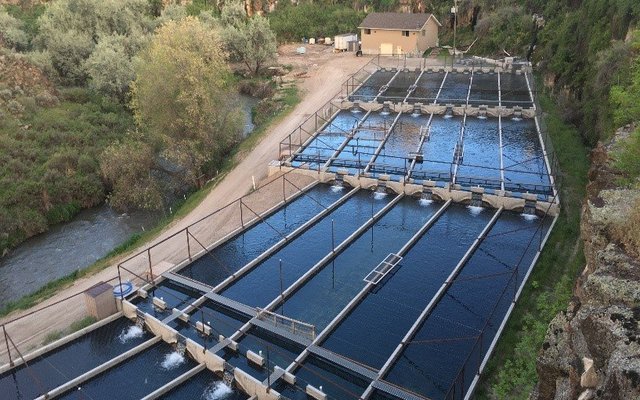 Troutlodge turns Rock Creek Hatchery into an R&D facility