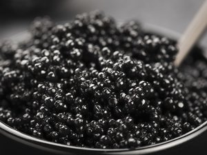 US to ban imports of EU caviar