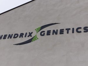 Paine Schwartz makes strategic investment in Hendrix Genetics