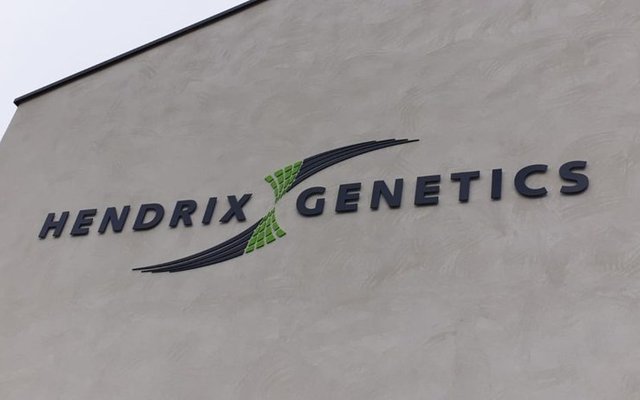 Paine Schwartz makes strategic investment in Hendrix Genetics