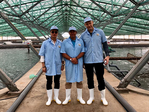 BioMar acquires majority shares of Viet-Uc to develop the aquafeed business in Vietnam