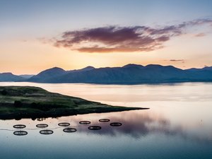 International project aims to open up data opportunities for aquaculture
