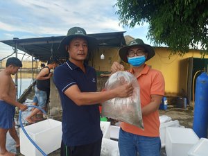 GenoMar delivers first tilapia fingerlings from its new hatchery to the Vietnamese market