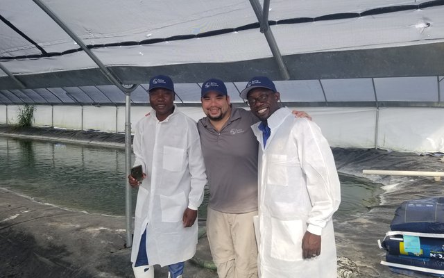 Spring Genetics inks deal with Africas largest integrated tilapia producer