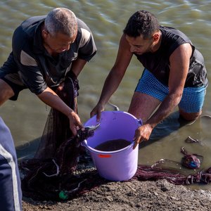 1. An Egyptian fish farmer with Wasseem Emam from Ethical Seafood Research (ESR)