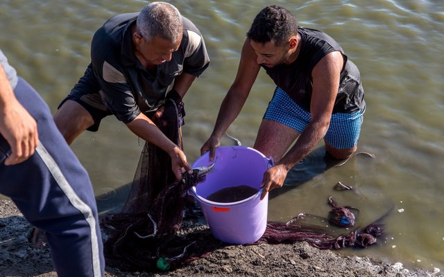 1. An Egyptian fish farmer with Wasseem Emam from Ethical Seafood Research (ESR)