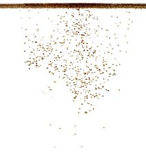 A New Start for Fish Larvae and Fry