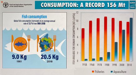 The State of World Fisheries and Aquaculture (SOFIA) - 2020