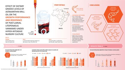 Krill astaxanthin oil enhances shrimp growth and survival in post-larval stage