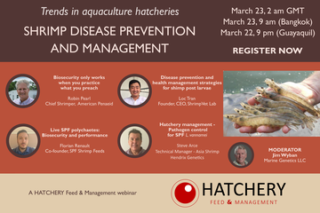 Register for webinar on shrimp disease management for hatcheries