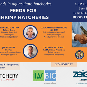 Registration now open for Feeds for Shrimp Hatcheries webinar