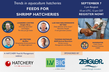 Inscripción abierta para webinar sobre alimentación en hatcheries de camarón