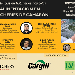 Inscripción abierta para webinar sobre alimentación en hatcheries de camarón