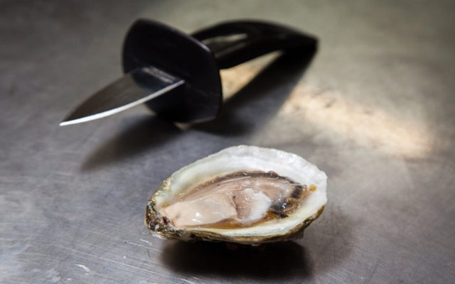 AUSTRALIA - Premium oyster region moves to keep POMS at bay