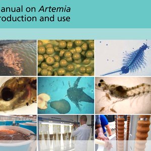 Artemia