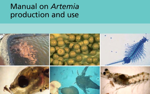 Artemia