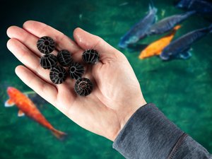 Biopebble - Aquaculture