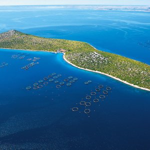 Cromaris