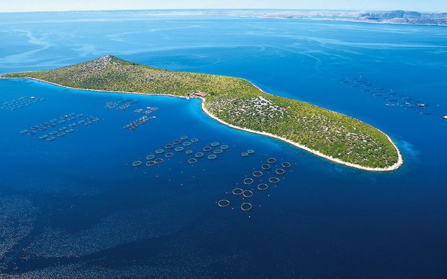 Cromaris