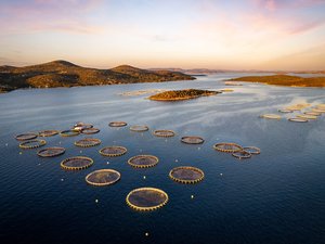 DJI_0695-large-2000x1500
