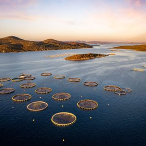 DJI_0695-large-2000x1500