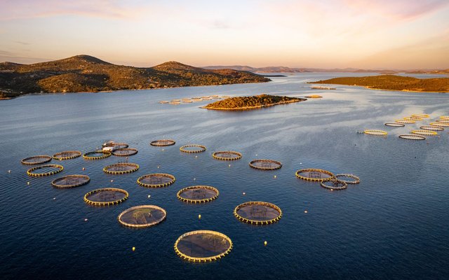 DJI_0695-large-2000x1500
