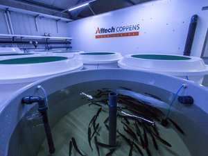 Digital_JPG-Alltech-Coppens-Aqua-Centre-23