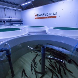 Digital_JPG-Alltech-Coppens-Aqua-Centre-23