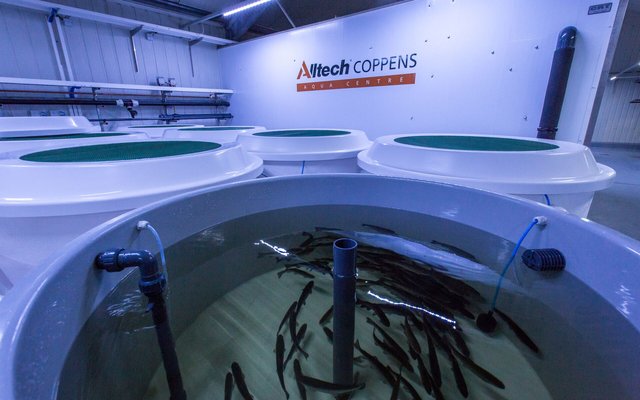 Digital_JPG-Alltech-Coppens-Aqua-Centre-23