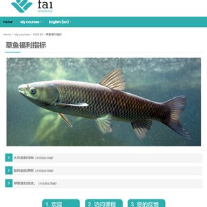 Example from FAI's Chinese Grass Carp Welfare Indicators Course