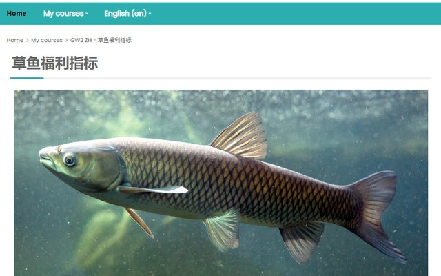 Example from FAI's Chinese Grass Carp Welfare Indicators Course