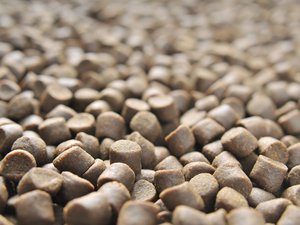 Feed_shutterstock_155892563