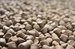 Feed_shutterstock_155892563