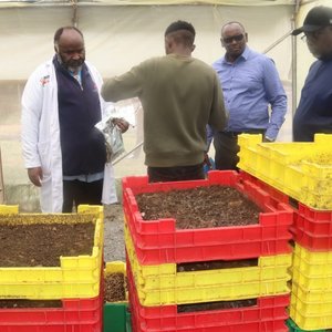 Fish-feed-1-1200x630
