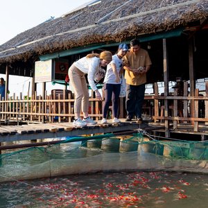 Fish farm Vietnam