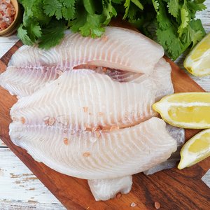 Fresh tilapia fillets