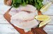 Fresh tilapia fillets