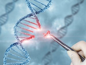 Gene editing_shutterstock_1968508504