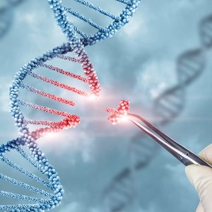 Gene editing_shutterstock_1968508504