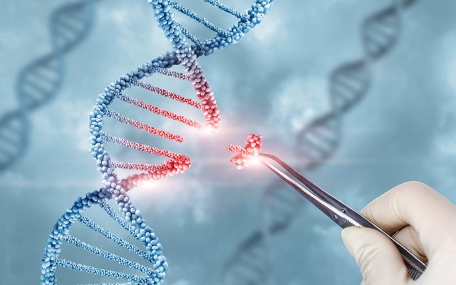 Gene editing_shutterstock_1968508504