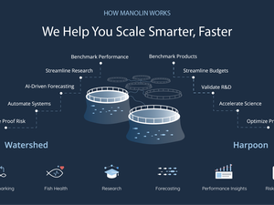 How Manolin Works