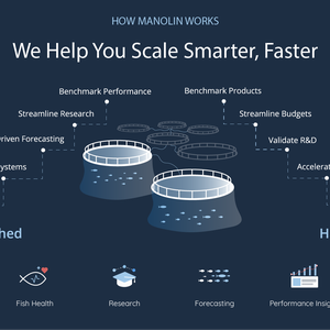 How Manolin Works